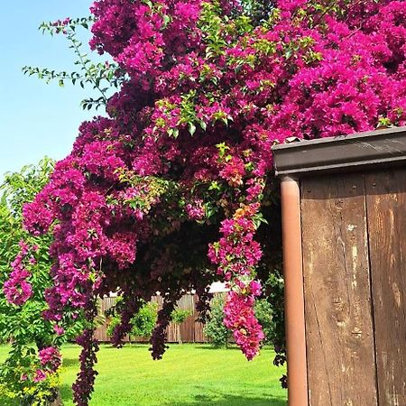 Villa Lucilla Altavilla Silentina Eksteriør billede
