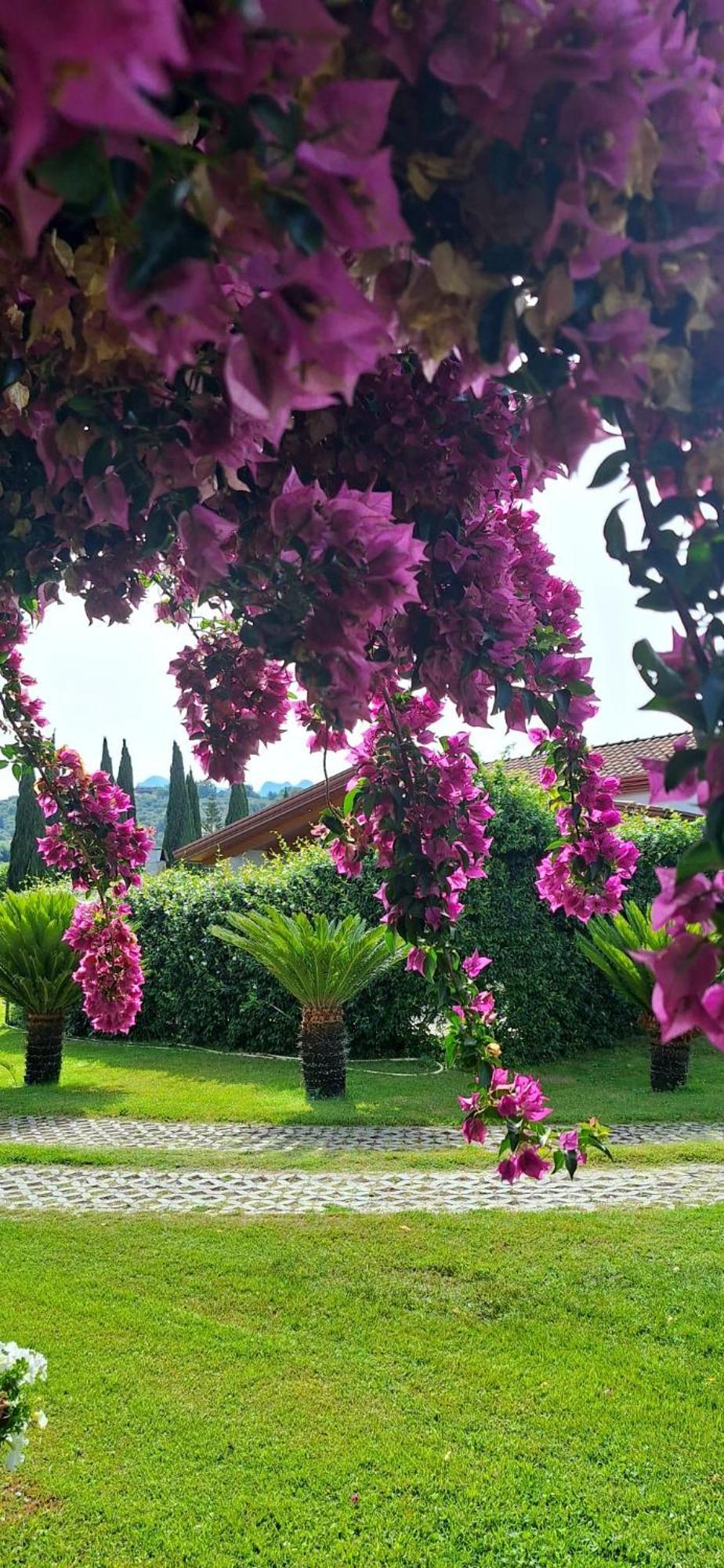 Villa Lucilla Altavilla Silentina Eksteriør billede