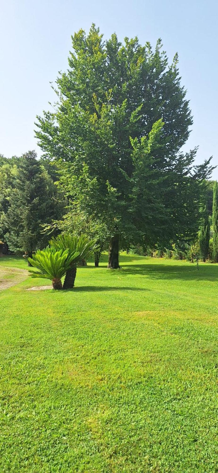 Villa Lucilla Altavilla Silentina Eksteriør billede